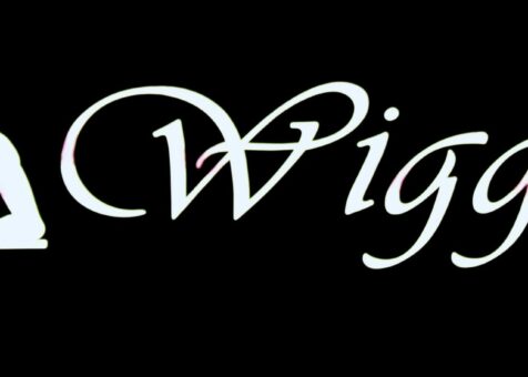 WIGGLE-LAP-DANCING-CLUB-SOUTHAMPTON-England (1)