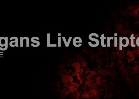 DRAGAN-LIVE-STRIPTEASE-KVANUM-SWEDEN (1)