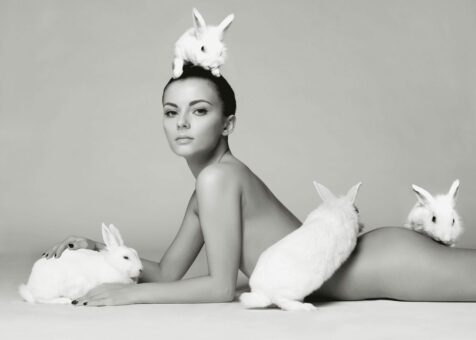 bunny (1)